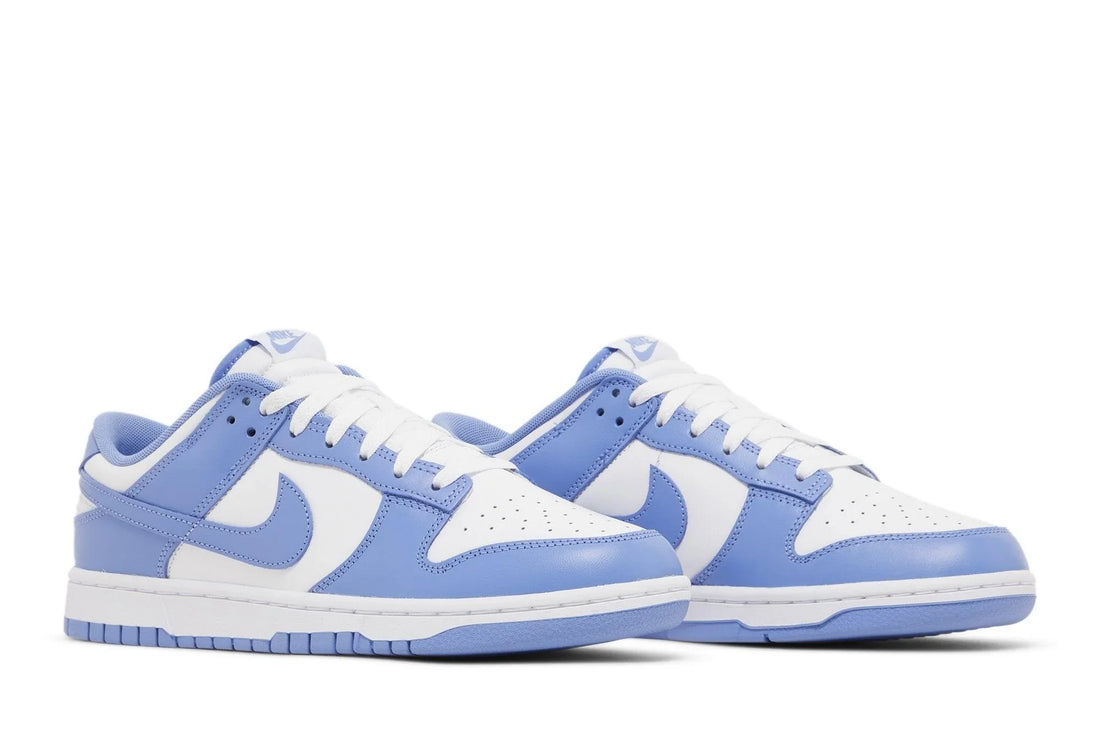 Nike Dunk Low Bleu Polaire